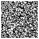 QR code with Pro Test Inc contacts