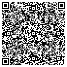 QR code with Pulsar Alarm Systems Ltd contacts