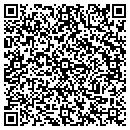 QR code with Capitol Yard Work LLC contacts
