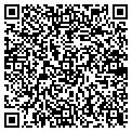 QR code with Nynex contacts