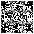 QR code with Puzzle House contacts