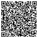 QR code with Celine contacts