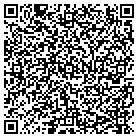 QR code with Blitz North America Inc contacts