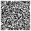 QR code with PREMIERSYSTEMS.COM contacts