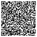 QR code with Accnet contacts