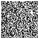 QR code with Cyberview Technology contacts