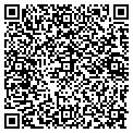 QR code with Light contacts
