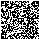 QR code with Baysaver Nevada Inc contacts