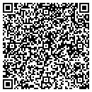 QR code with Protomatics contacts