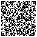 QR code with B Chic contacts