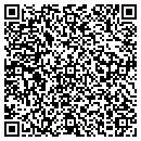 QR code with Chiho Tiande USA Inc contacts