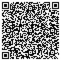 QR code with Allluvion Inc contacts