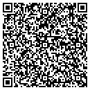 QR code with Professional Mfg Corp contacts