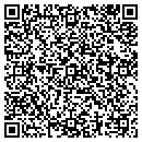 QR code with Curtis Design Group contacts