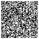 QR code with Punta Arena Jersey Dairy contacts