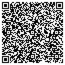 QR code with Cartessa Corporation contacts