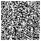 QR code with Public Networking Inc contacts