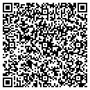 QR code with Princeton Tool Inc contacts