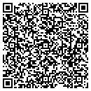 QR code with Price Electric Inc contacts