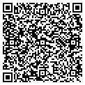 QR code with Kiwi contacts