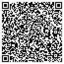QR code with Precision Auto Sales contacts