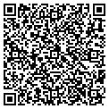 QR code with Vidlex contacts