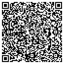 QR code with Pvl/Motoplat contacts