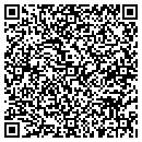 QR code with Blue Ribbon Internet contacts