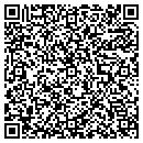 QR code with Pryer Machine contacts