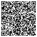 QR code with Saxnet contacts