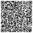 QR code with Babyak Forestry Service contacts