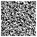 QR code with Cyber Remedies contacts