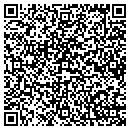 QR code with Premier Systems LTD contacts