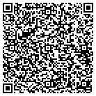 QR code with Public Solutions Group contacts