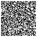 QR code with Premier Provision contacts