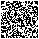 QR code with Public Sound contacts