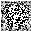 QR code with Premier Lighting Inc contacts