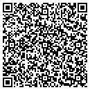 QR code with Pulsar Systems Inc contacts