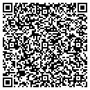 QR code with Colarossi Painting Co contacts