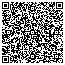 QR code with Carver Construction contacts