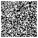 QR code with Professional Jewelers contacts