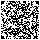 QR code with Pulmonary Providers Inc contacts