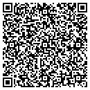 QR code with Carrier Access Corp contacts