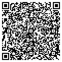 QR code with Amps contacts