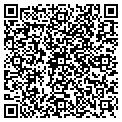 QR code with Netzar contacts
