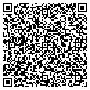 QR code with Carl Johnson & Assoc contacts