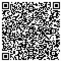 QR code with Lsg II contacts
