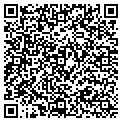 QR code with Brandt contacts