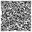 QR code with Castle Dale District 9 contacts