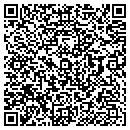 QR code with Pro Pave Inc contacts